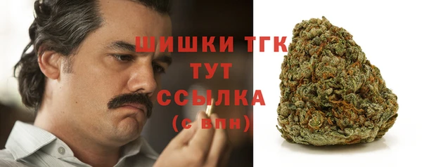 стаф Елабуга