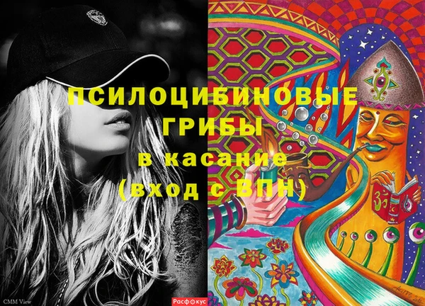 гашик Покровск