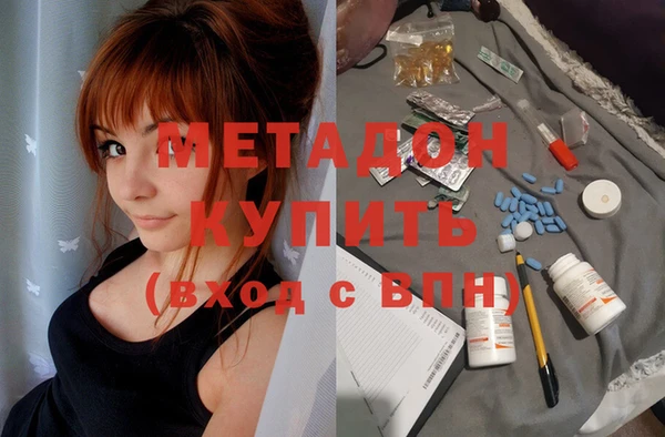 прущие грибы Покачи