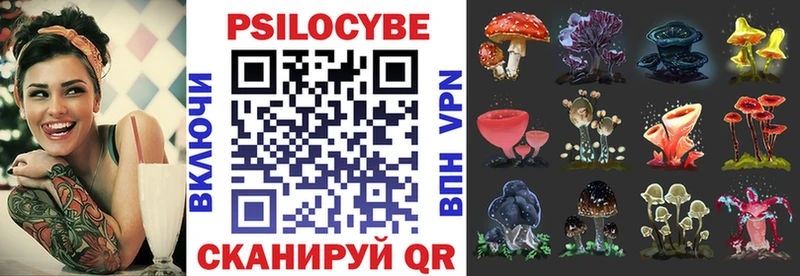 купить наркотик  Большой Камень  Псилоцибиновые грибы Cubensis 