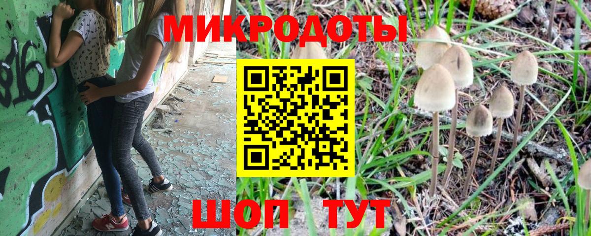 Псилоцибиновые грибы MAGIC MUSHROOMS Большой Камень