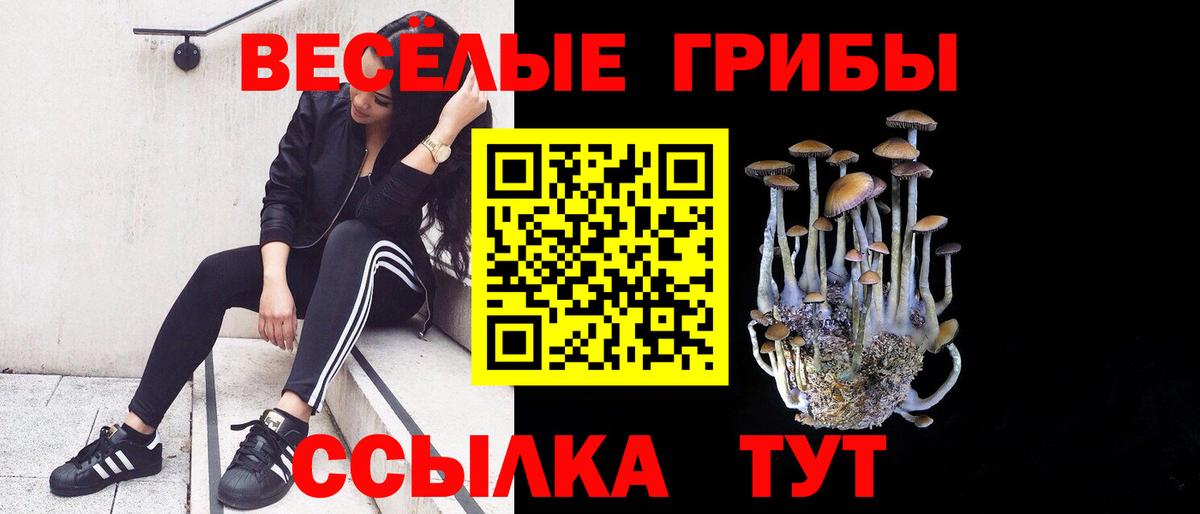 Галлюциногенные грибы GOLDEN TEACHER  Вход с VPN  Галлюциногенные грибы мицелий  Большой Камень 