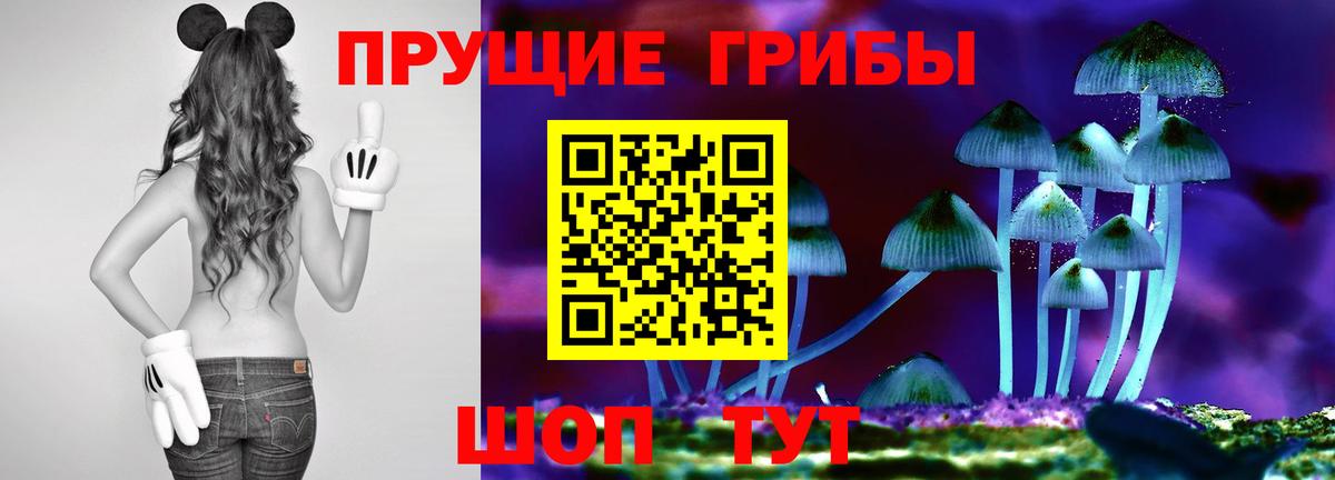 Галлюциногенные грибы Cubensis  купить наркоту  Галлюциногенные грибы Psilocybine cubensis  Большой Камень 