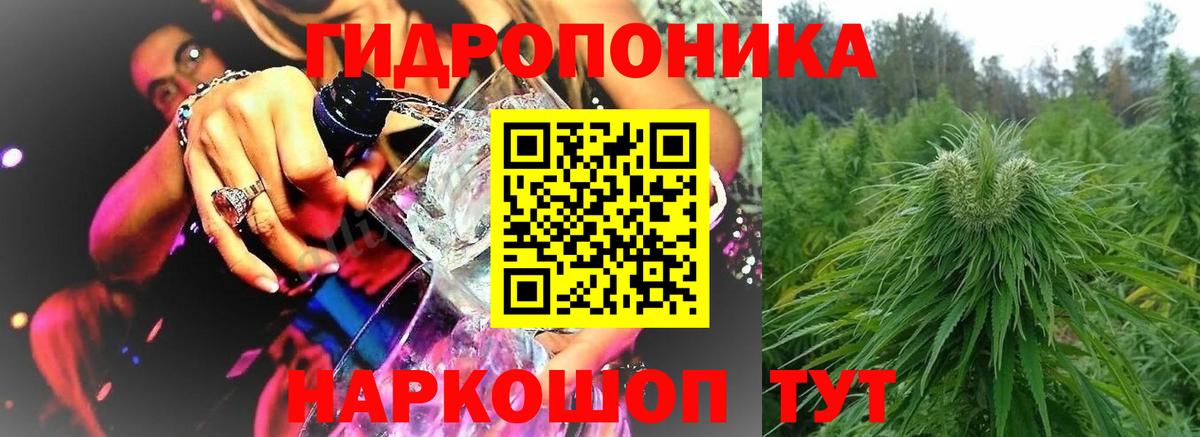 МАРИХУАНА семена Большой Камень